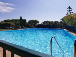 Classy Apartment in Nice with pool and private parking place